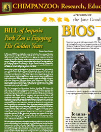 Chimpanzoo 2006 Poster