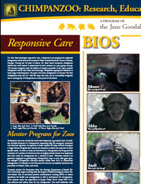 Chimpanzoo 2008 poster