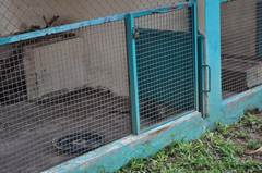 Description: Empty civet cages