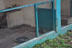 Description: Empty civet cages