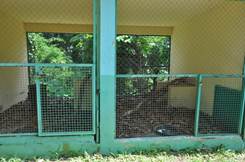 Description: Civet cages with substrate