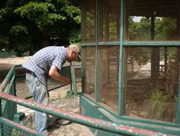 Description: Patrick fixing new warthog cage